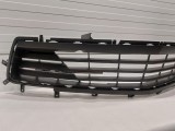 Lower Grille